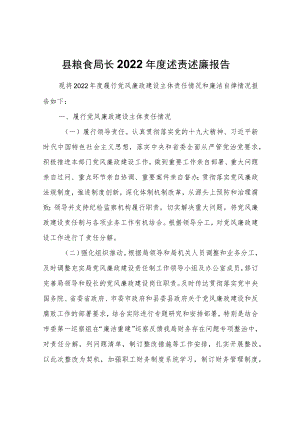 县粮食局长2022述责述廉报告.docx