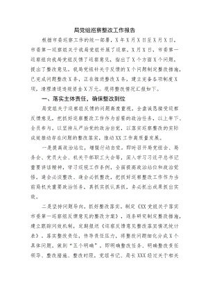 局党组巡察整改工作报告.docx