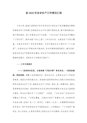 县2022安全生产工作情况汇报.docx