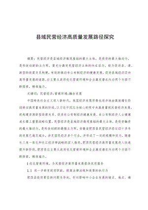 县域民营经济高质量发展路径探究.docx