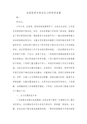 在县政府全体会议上的讲话2篇.docx