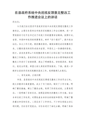 在县政府系统中央巡视反馈意见整改工作推进会议上的讲话.docx