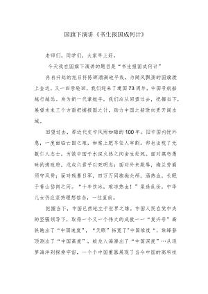 国旗下演讲《书生报国成何计》.docx
