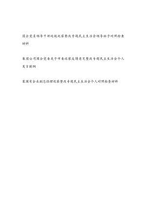 国企公司党委领导班子及党员干部个人巡视巡察整改专题民主生活会领导对照检查材料3篇.docx