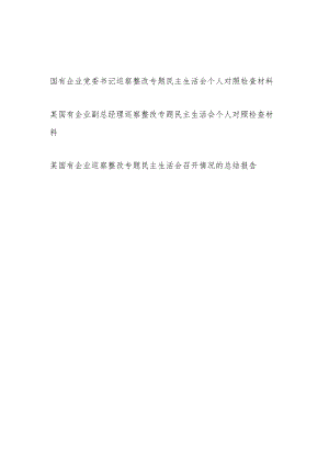 国企公司书记副总经理巡察整改专题民主生活会个人对照检查材料和召开情况总结报告.docx