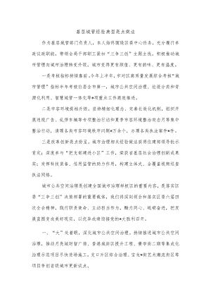 基层城管经验典型亮点做法.docx