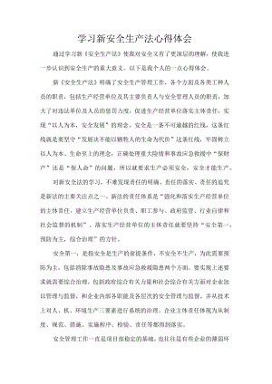 学习新安全生产法心得体会.docx