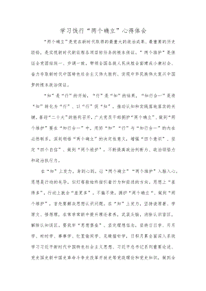 学习饯行“两个确立”心得体会.docx