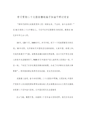 学习贯彻二十大报告撸起袖子加油干研讨发言.docx