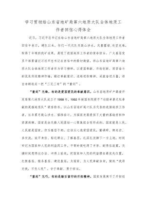 学习贯彻给山东省地矿局第六地质大队全体地质工作者回信心得体会.docx