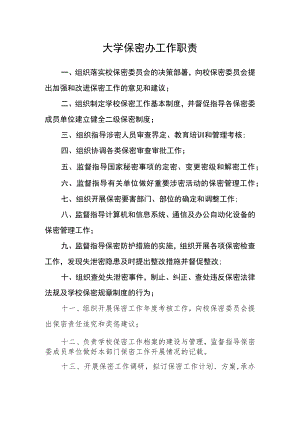 大学保密办工作职责.docx