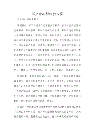 写文章心得体会5篇.docx