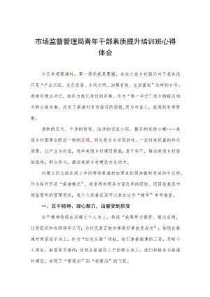 市场监督管理局青年干部素质提升培训班心得体会.docx