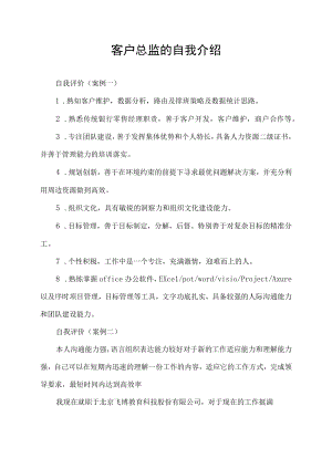 客户总监的自我介绍.docx