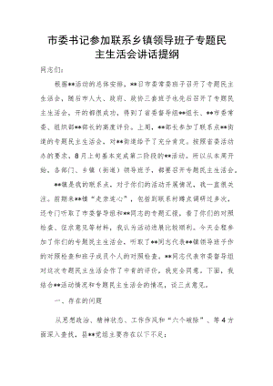 市委书记参加联系乡镇领导班子专题民主生活会讲话提纲.docx