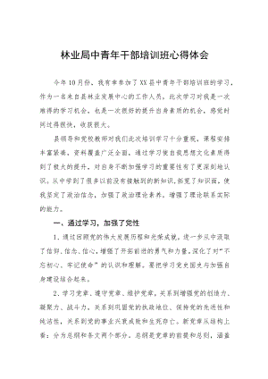 市场监督管理局青年干部素质提升培训班心得体会五篇汇编.docx