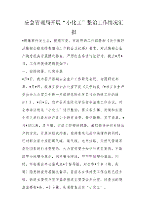 应急管理局开展“小化工”整治工作情况汇报.docx