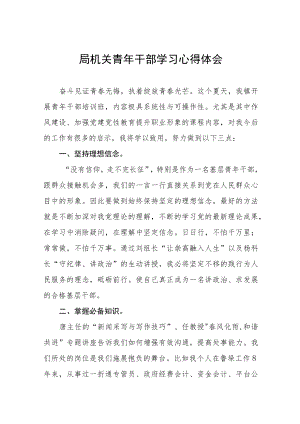 年轻干部学习心得体会发言稿五篇模板.docx