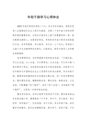 年轻干部学习心得体会发言稿五篇例文.docx