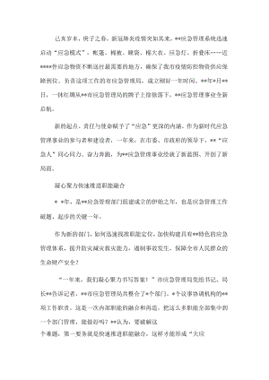 市应急管理局成立一周年工作综述(1).docx