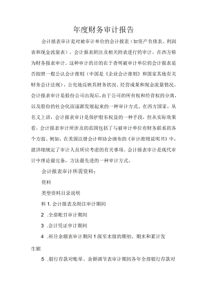 年度财务审计报告.docx