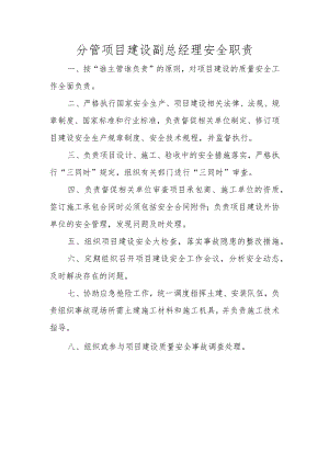 分管项目建设副总经理安全职责.docx