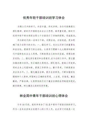 市监局青年干部素质提升培训班学习体会五篇合集.docx