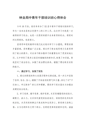 市监局青年干部素质提升培训班学习体会五篇样本.docx