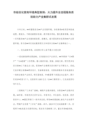 市级优化营商环境典型案例：大力提升全流程服务质效 助力产业集群式发展.docx