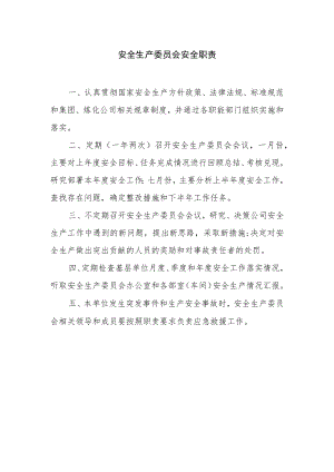安全生产委员会安全职责.docx