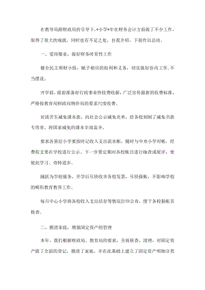小学财务工作总结.docx