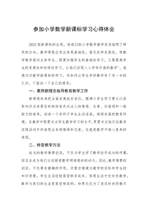 学习2022版小学新课标心得体会八篇模板.docx