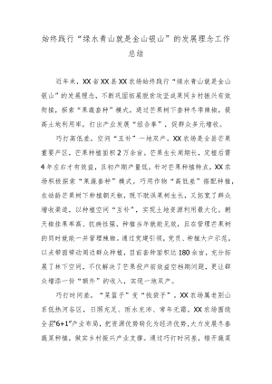 始终践行“绿水青山就是金山银山”的发展理念工作总结.docx
