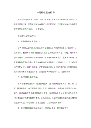 如何种植室内植物.docx