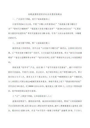 妇联疫情防控经济社会发展经验做法.docx