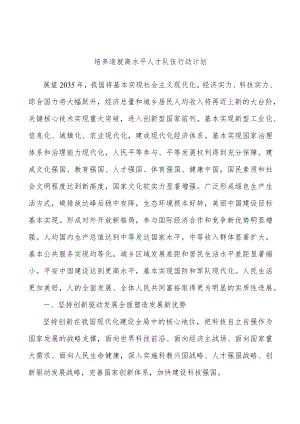 培养造就高水平人才队伍行动计划.docx