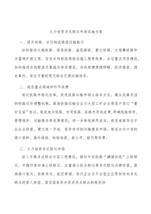 大力培育多式联运市场实施方案.docx