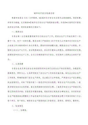 城市运行安全检查总结.docx