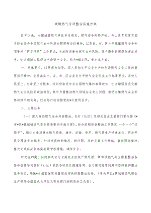 城镇燃气专项整治实施方案.docx