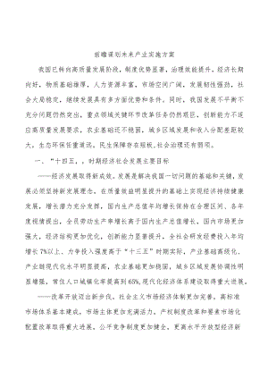 前瞻谋划未来产业实施方案.docx
