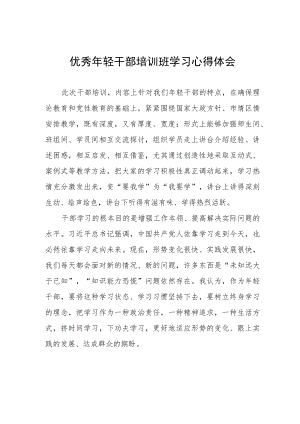 优秀年轻干部培训班学习心得体会.docx
