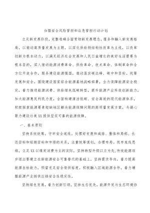 加强安全风险管控和应急管控行动计划.docx