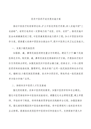 促进中医药开放发展实施方案.docx