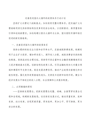 完善促进国内大循环的政策体系行动计划.docx