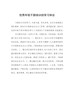 优秀年轻干部培训班学习体会.docx