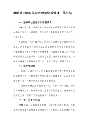 市（县）财政预算绩效管理情况调研提纲.docx