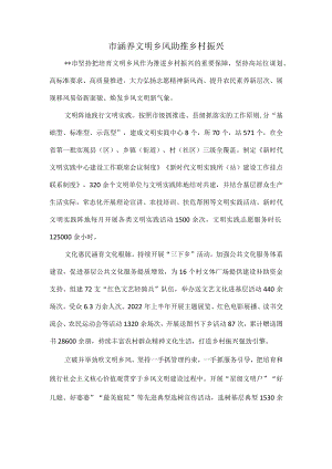市涵养文明乡风助推乡村振兴.docx