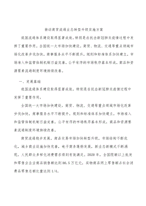 推动商贸流通业态转型升级实施方案.docx