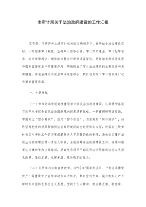 市审计局关于法治政府建设的工作汇报.docx