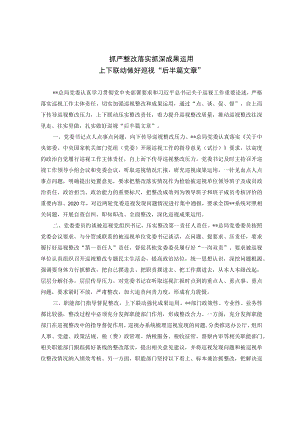 抓严整改落实抓深成果运用上下联动做好巡视“后半篇文章”.docx